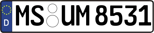 MS-UM8531