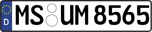 MS-UM8565
