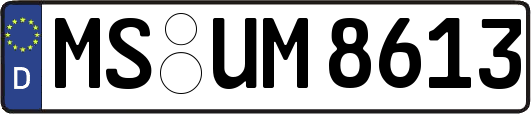 MS-UM8613