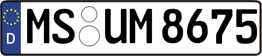 MS-UM8675