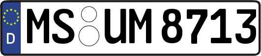 MS-UM8713