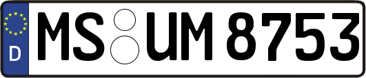 MS-UM8753