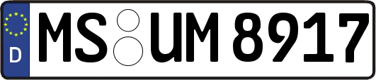 MS-UM8917