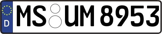 MS-UM8953