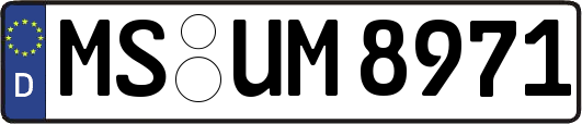 MS-UM8971