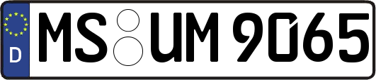 MS-UM9065