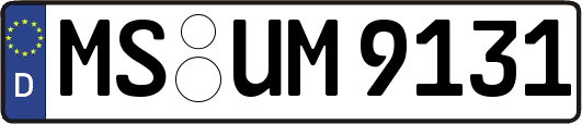 MS-UM9131