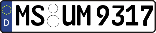 MS-UM9317