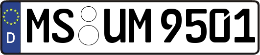 MS-UM9501