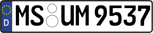 MS-UM9537
