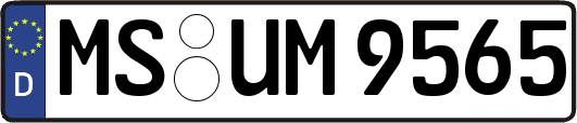 MS-UM9565