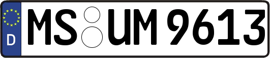MS-UM9613