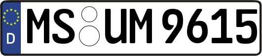 MS-UM9615