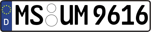 MS-UM9616