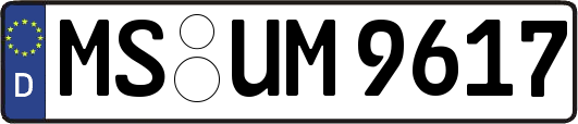 MS-UM9617