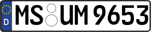 MS-UM9653