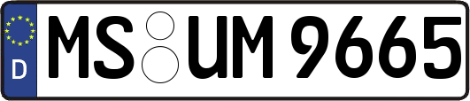 MS-UM9665