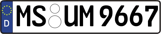 MS-UM9667