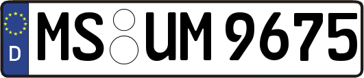 MS-UM9675