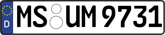 MS-UM9731