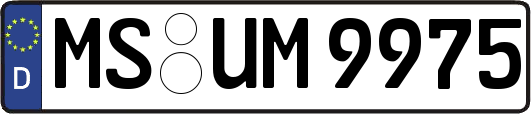 MS-UM9975