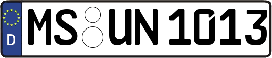 MS-UN1013