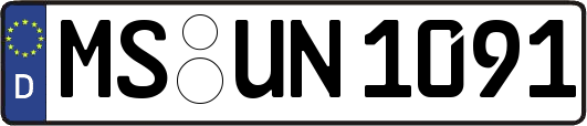 MS-UN1091