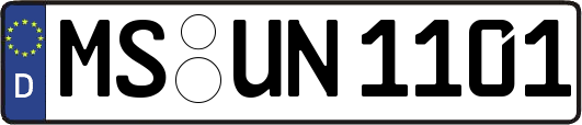 MS-UN1101