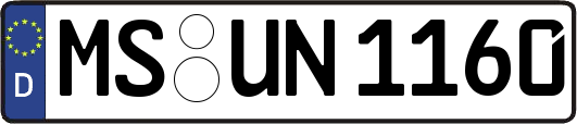 MS-UN1160