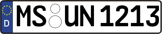 MS-UN1213