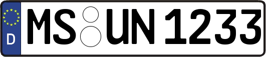 MS-UN1233