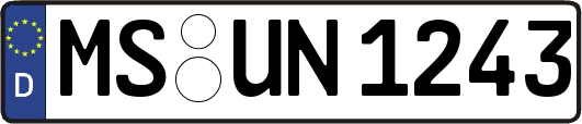 MS-UN1243