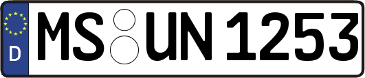 MS-UN1253