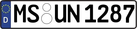 MS-UN1287