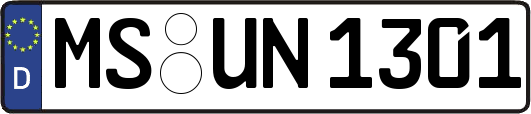 MS-UN1301