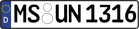 MS-UN1316