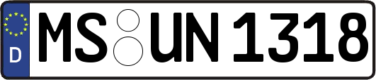 MS-UN1318