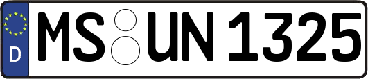 MS-UN1325