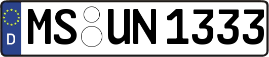 MS-UN1333