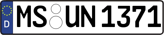 MS-UN1371