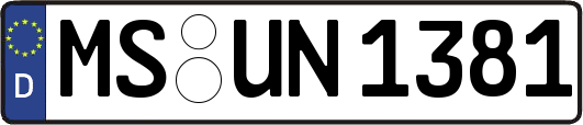 MS-UN1381
