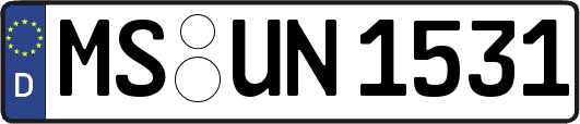 MS-UN1531