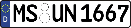 MS-UN1667