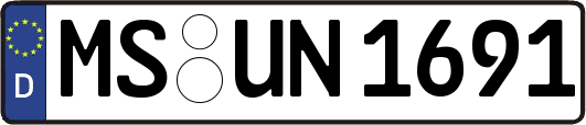 MS-UN1691
