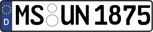 MS-UN1875