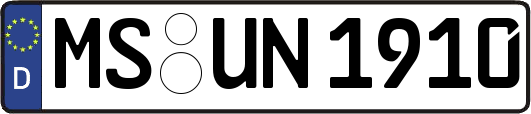 MS-UN1910