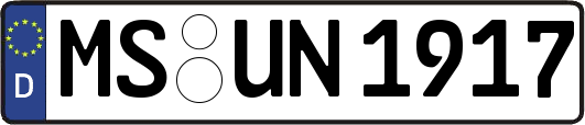 MS-UN1917