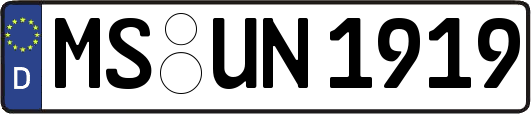 MS-UN1919