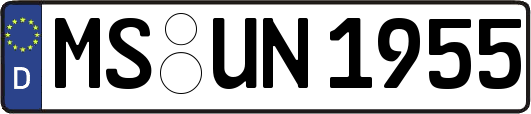 MS-UN1955