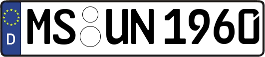 MS-UN1960